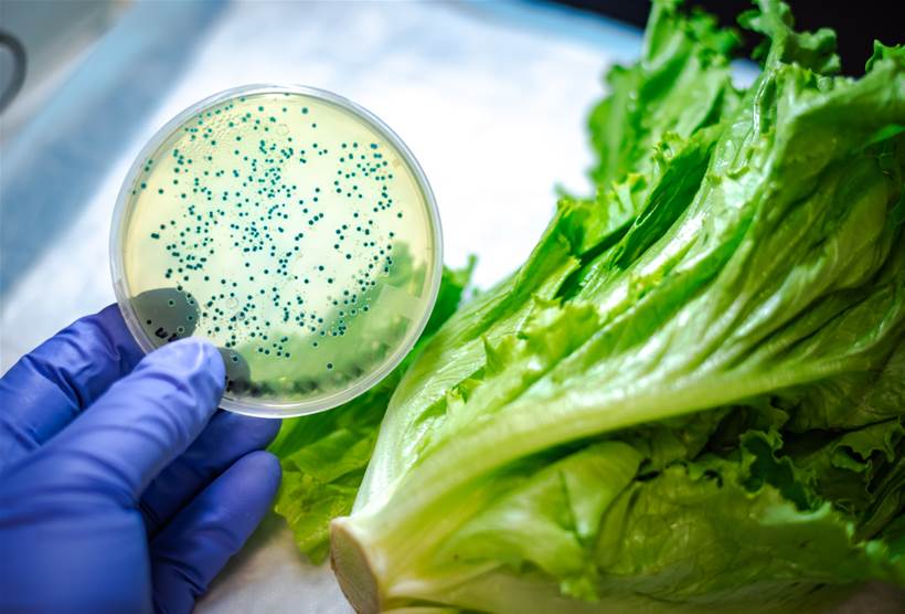 How IBM aims to protect food supplies using IoT, blockchain and agritech